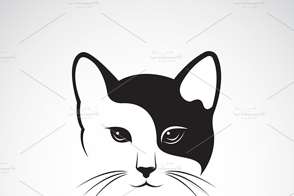 Vector Of A Cat Face Design. Animal.