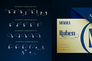 Senthil, a Sans Serif Font by Burntilldead (Thumbnail 9 of 11)