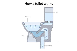 How a Toilet Works Flushing, an Illustration by AlexArt
