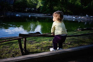 Child observing pond wildlife in a lush green park setting, a Photo by AS photostudio