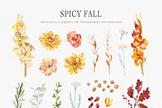 Spicy Fall herbs & berries, a Decorative Illustration by Volha Studio (Thumbnail 6 of 9)