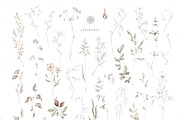 GRACE Floral Watercolor and Line art, a Decorative Illustration by Kreker Kate (Thumbnail 9 of 10)