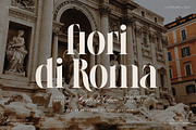LaRuja - Light & Bold Serif Duo, a Serif Font by SilverStag Type Foundry (Thumbnail 11 of 17)