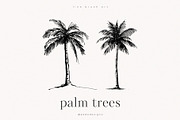 Palm Trees, an Object Illustration by PeDe Designs (Thumbnail 5 of 9)