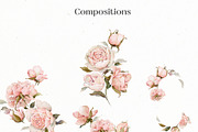 Watercolor Rose Floral Elements, a Decorative Illustration by Damian Roh (Thumbnail 9 of 13)