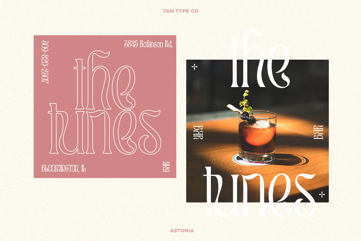 TAN - ASTORIA, a Serif Font by TanType (Photo 13 of 21)