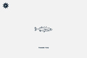 The Freshwater Fish Collection, an Animal Illustration by dicreate (Thumbnail 6 of 6)