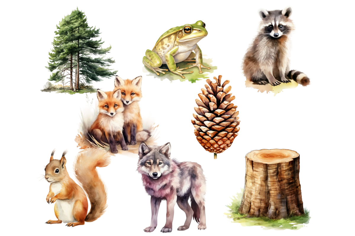 Woodland Animals Clipart Bundle, an Animal Illustration by Mash Mash Stickers (Photo 5 of 9)
