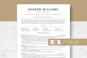 ATS Resume Template | Modern Resume, a Resume Template by AntDesignStudio