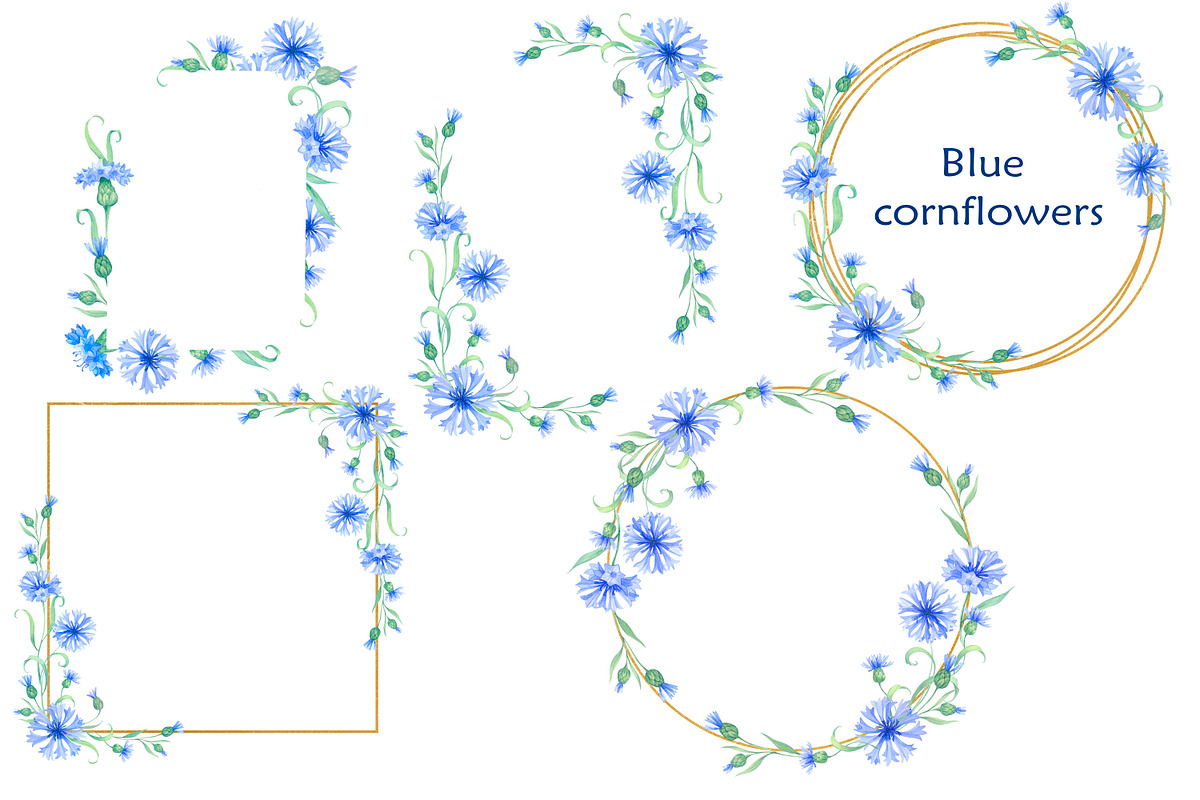 Blue cornflowers bundle, a Decorative Illustration by EshaStudio (Photo 1 of 15)