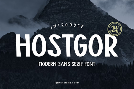 Hostgor - Modern Sans Font, a Sans Serif Font by Iqsiart Studio