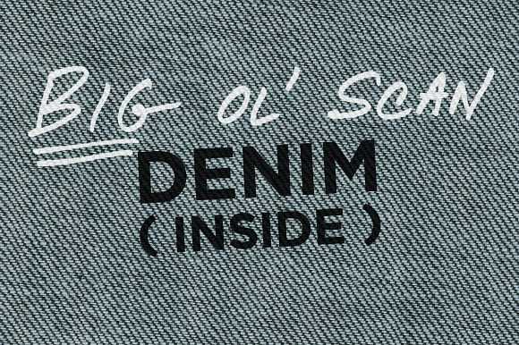 Denim, Inside — Big Ol' Scan preview 3