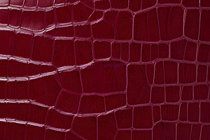 Rich burgundy crocodile leather texture with intricate patterns showcasing luxu, a Background Photo by Kzara Visual Concepts