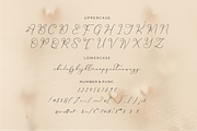 Hardyela Sandert Ballpoint Signature, a Script Font by Storytype Studio (Thumbnail 13 of 15)