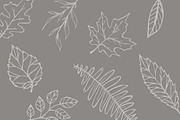 Hand-Illustrated Leaf Vectors, an Illustration by Britt Fabello (Thumbnail 5 of 5)