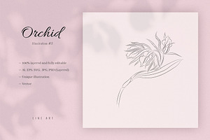 Orchid #17. Line Art Illustration, a Decorative Illustration by lapi-olesya