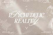 Silver Garden - Nostalgic Font Duo, a Serif Font by SilverStag Type Foundry (Thumbnail 18 of 26)