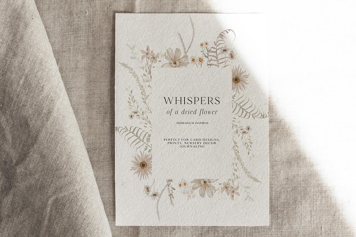 Wildflowers watercolor floral botany, a Decorative Illustration by Grace Noboa Illustrations (Photo 4 of 17)