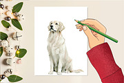 French Chateau Watercolor Clipart, an Illustration by DreamCafeArt (Thumbnail 4 of 5)