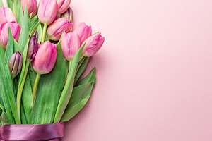 Bouquet pink tulips on lightpink, a Holiday Photo by Volff