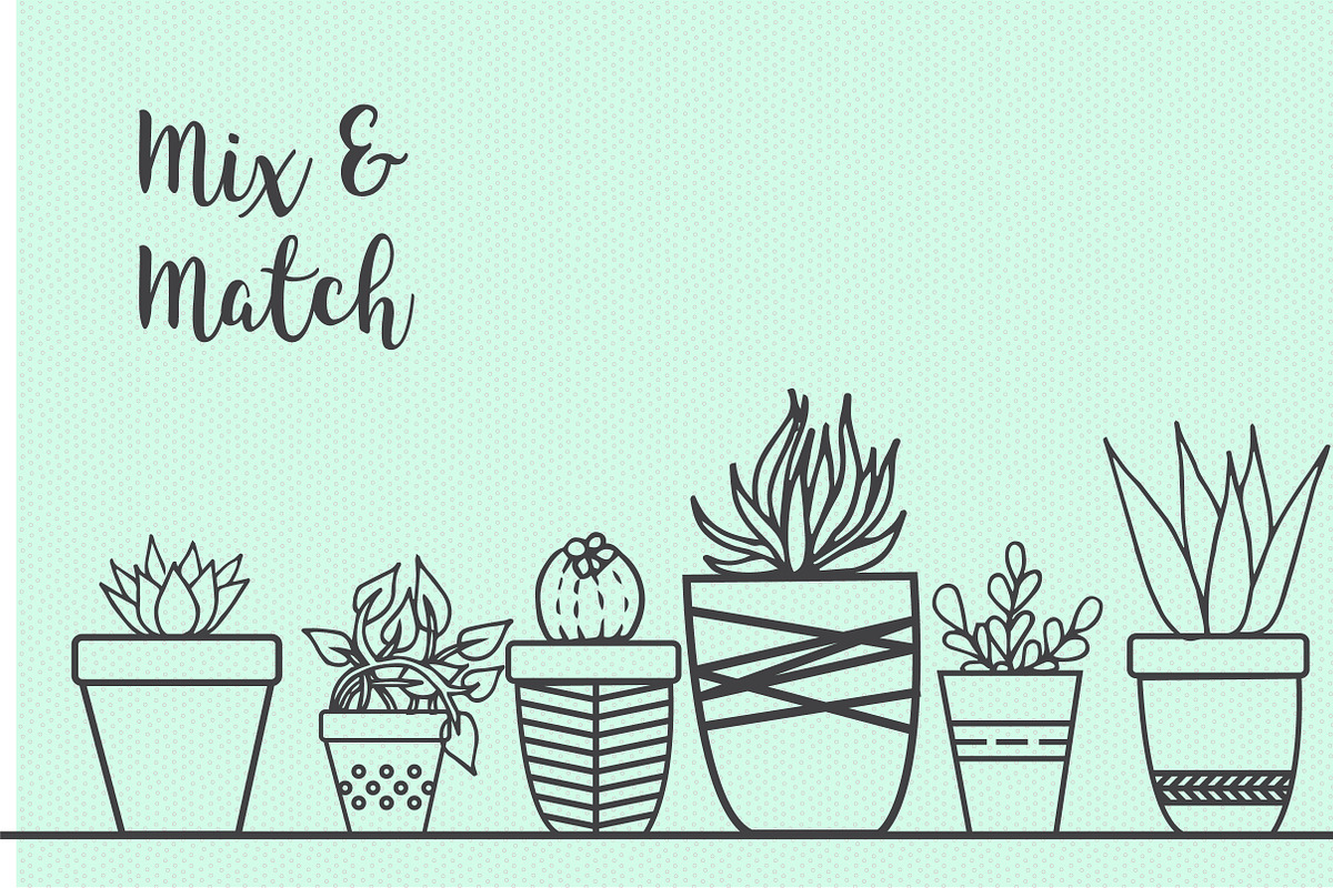 Hand Drawn Succulent Illustrations, an Illustration by Hannah Eliza Studio (Photo 6 of 6)