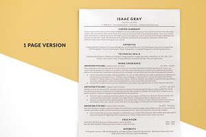 Professional ATS Ready CV Template