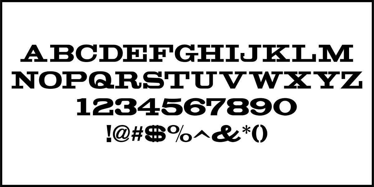 Alderman JNL, a Slab Serif Font by Jeff Levine Fonts (Photo 3 of 5)