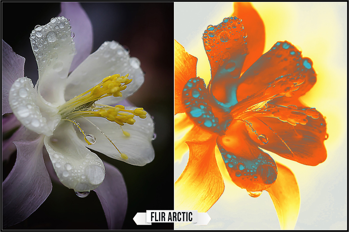 Thermography LUTs - Version 2, a Plug-in Add-On by Raztrend (Photo 11 of 30)