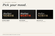 Brand Guidelines Template — 3-in-1, a Branding & Logo Template by Just Necessary (Thumbnail 2 of 9)