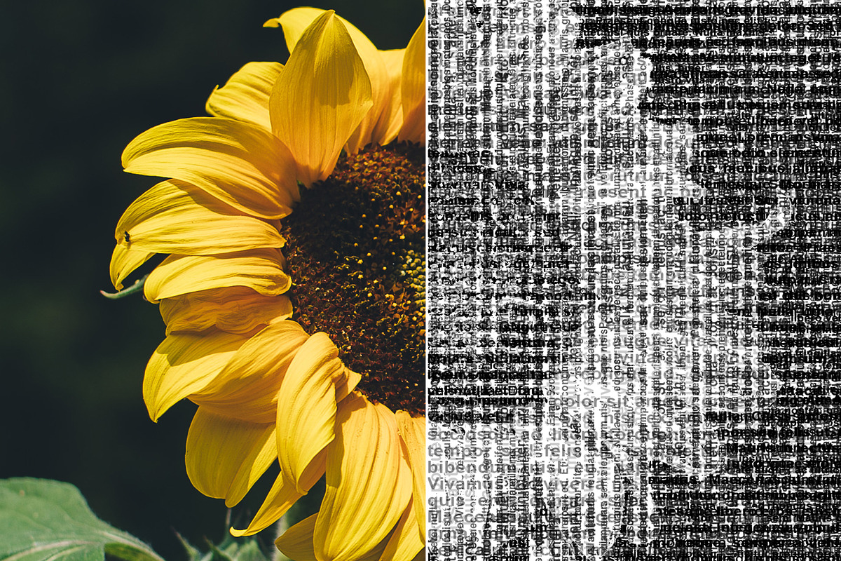 Text Drawing Effect - PS Action, an Action Add-On by Viktor (Photo 3 of 7)