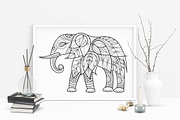 Unusual animals set, an Object Graphic by MarinaVorontsova (Thumbnail 6 of 6)