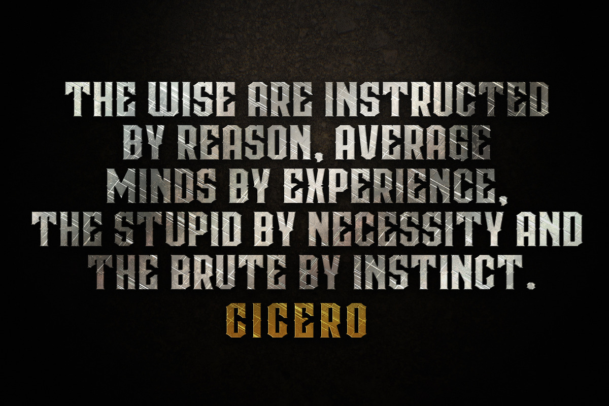 CICERO SERIES DISPLAY FONTS, a Serif Font by Alphabet Agency (Photo 6 of 6)