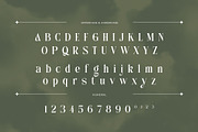 Anchika – Elegant Ligature Serif, a Serif Font by Almeera Std (Thumbnail 7 of 10)