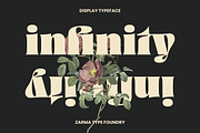 Ayuga - Psychedelic Font, a Serif Font by Zarma Type (Thumbnail 4 of 14)