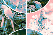 Collage Photo Frame Design Bundle, a Print Template by MRI STUDIO (Thumbnail 28 of 42)