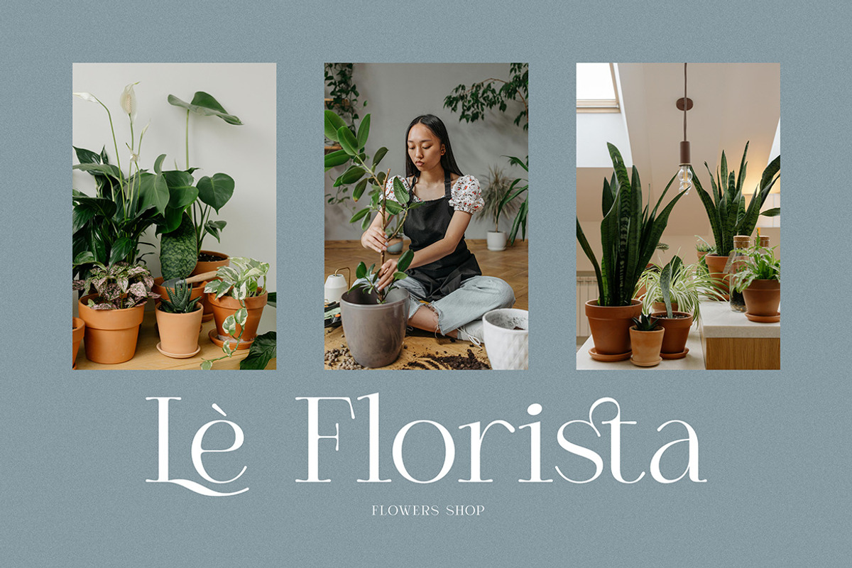 Agican Elegant Serif, a Serif Font by Cruzine (Photo 3 of 9)