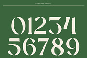 CS Chaya Drawn, a Serif Font by Craft Supply Co. (Thumbnail 6 of 8)