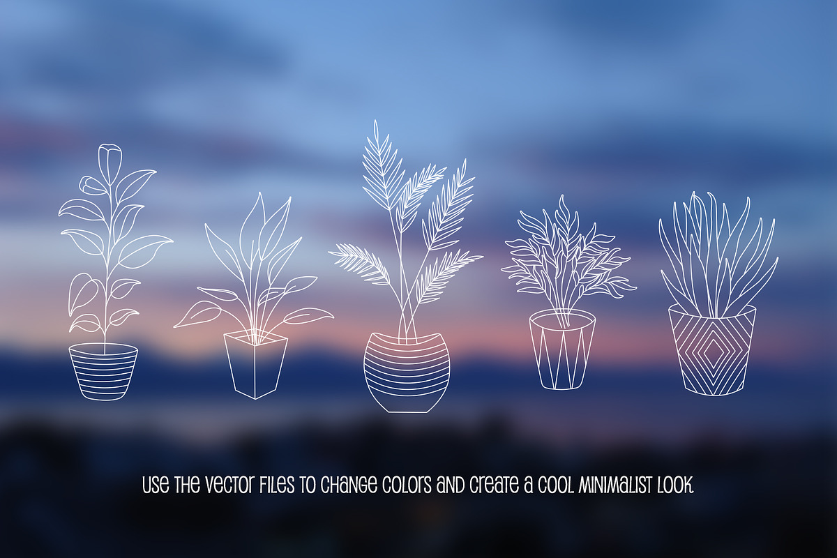 House Plants Clip Art Vector & Png, a Decorative Illustration by Digital Sugar (Photo 5 of 5)