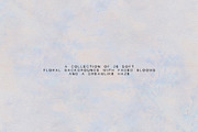 Hushed Bloom - Floral Backgrounds, a Texture Graphic by lerinartstudio (Thumbnail 2 of 13)