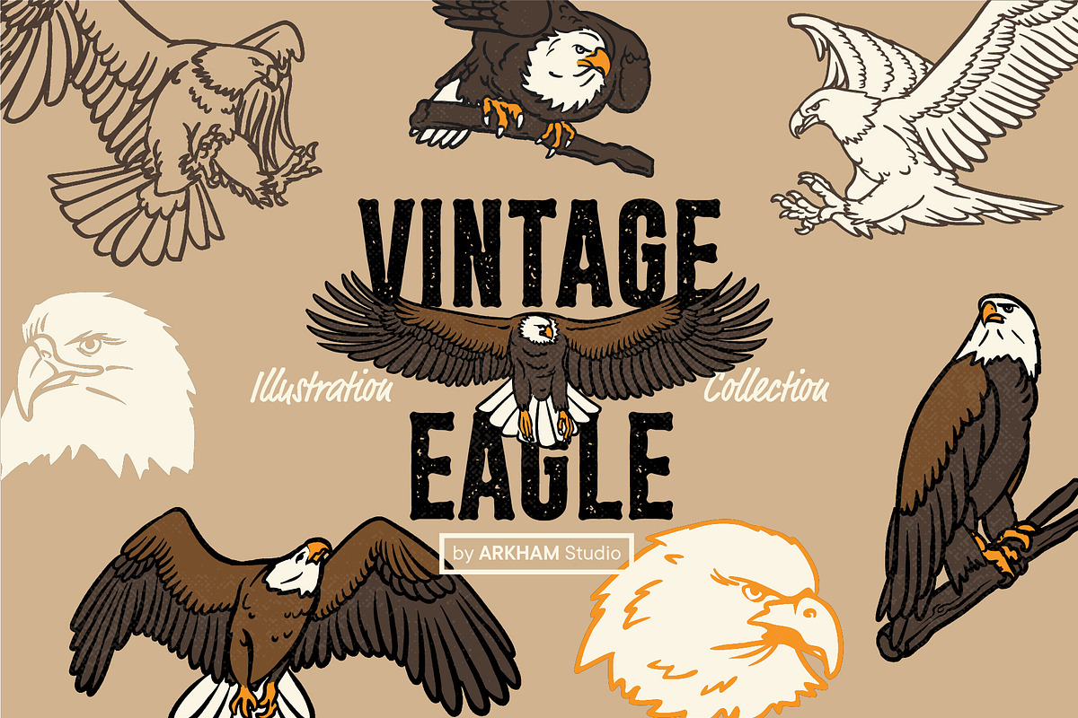 Vintage Eagle Illustrations, an Animal Illustration by ARQAM Studio (Photo 1 of 9)