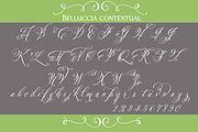 Belluccia Pro Font, a Script Font by Debi Sementelli (Thumbnail 3 of 5)