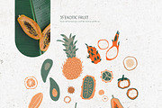 Gentle Tropics graphic kit, a Decorative Illustration by Dinkoobraz (Thumbnail 11 of 17)