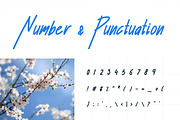 Shelley - Elegant Handwritten Script, a Script Font by Luna Shop (Thumbnail 5 of 6)