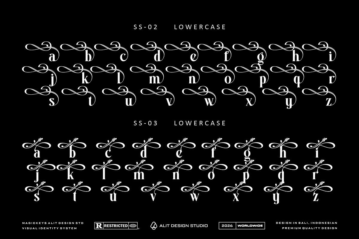 Dream Musical Typeface, a Serif Font by alit design (Photo 15 of 20)