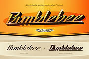 Sanvilo, a Script Font by Burntilldead (Thumbnail 9 of 12)