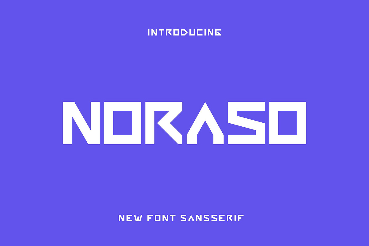 Noraso, a Sans Serif Font by riotama85 (Photo 1 of 5)
