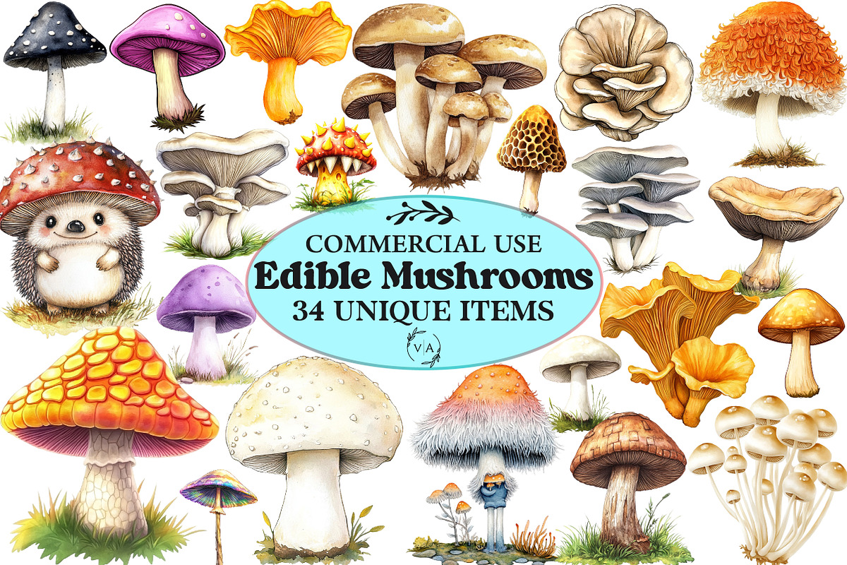 Watercolor Edible Mushrooms Clipart, an Illustration by Craft Nest (Photo 1 of 6)