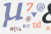 Rival Font Family, a Slab Serif Font by Mostardesign Type Foundry (Thumbnail 4 of 13)