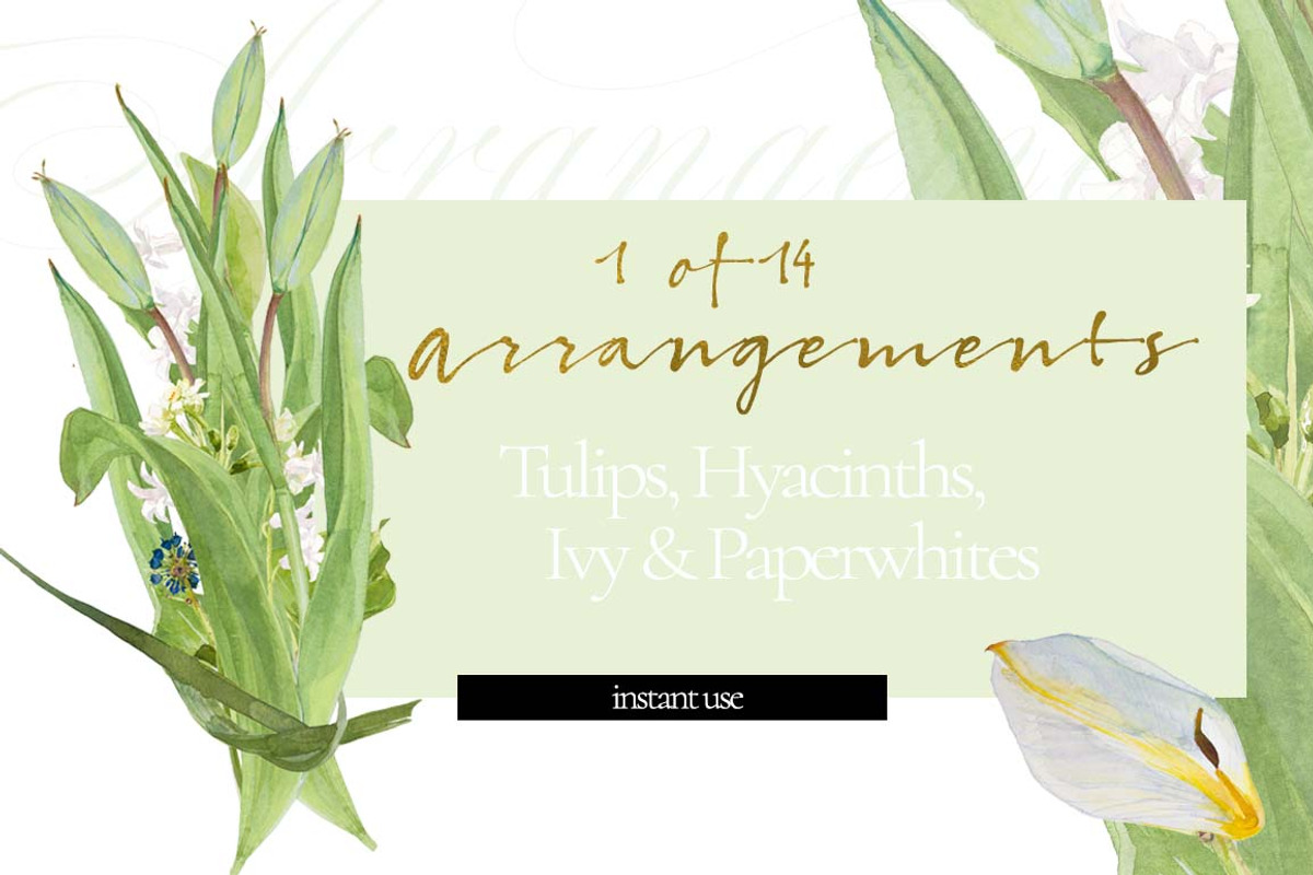 White Bouquets&Wreaths in watercolor, an Illustration by watercolorwild.graphics (Photo 8 of 14)