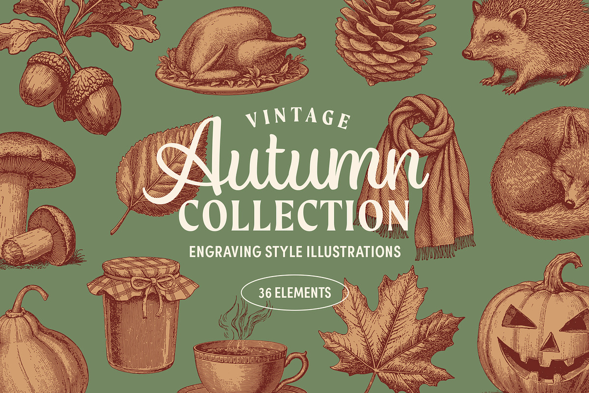 Vintage Autumn Illustrations, a Seasonal Illustration by Graphic Goods (Photo 1 of 8)